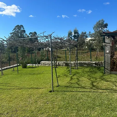 Casa Do Vale - Seixas *